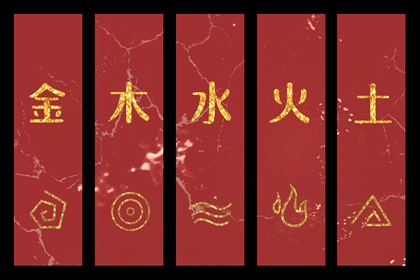 新浪紫微命盘 命盘详细解释 明星紫微斗数命盘 紫微测名 本命盘解析 元亨紫微排盘系统